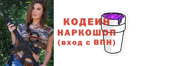 дмт Вяземский