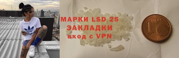 дмт Вяземский