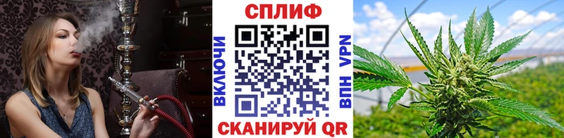 Конопля сатива  Купить где  Полярный 